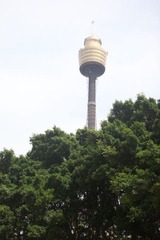 Sydney Tower
