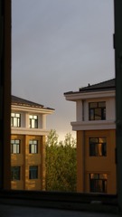 1000037777