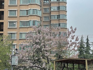 E2608EE5-043E-476A-BCD4-F49871B4DB3E/L0/001