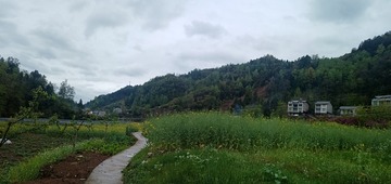 115904
