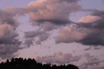 92DFBBF9-DBD6-4EC7-A410-3CDA831783C3/L0/001