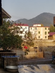 498051