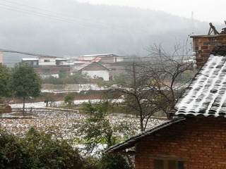 490828