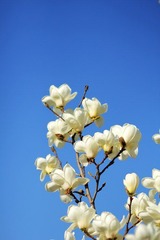    好天气