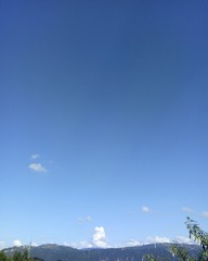1000006395