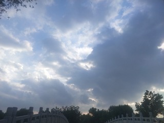 10116