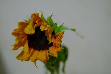 B87F3A9C-3AD5-46D7-B4BC-FA523222E8CB/L0/001