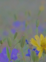 EF552C0D-093E-48FD-B98E-241BAD53143C/L0/001