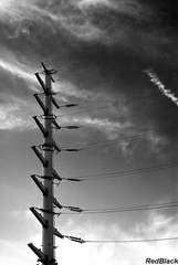 DSC_4012_bw