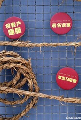 词语新解