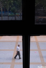 window view 12