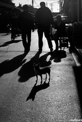DSC_6917_b&w