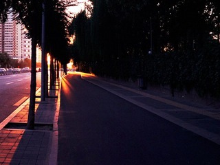 Untitled-6_T.jpg