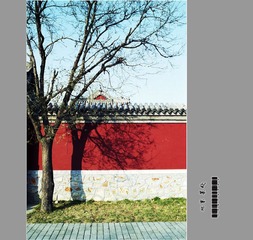 Untitled-113