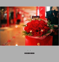 TT_Untitled-15