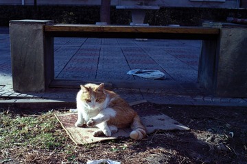T_Scan-110414-0003