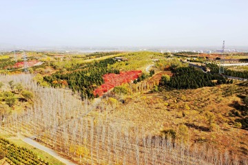 T_Scan-110414-0007