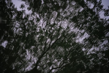 C7A289D4-51E1-4339-AB46-76850C2BD236/L0/001