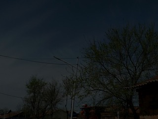 564421