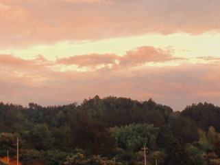 D9517011-F17D-4097-88AD-089F21EFEB3A/L0/001