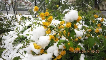 IMG_0129_
