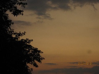 D2596A8C-6725-463B-AF84-135E9D906C62/L0/001