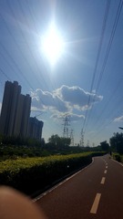 12015