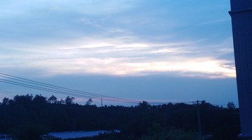 3154518