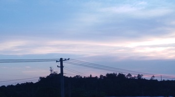 3154533