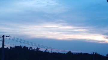 3154515