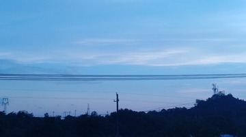 3154514