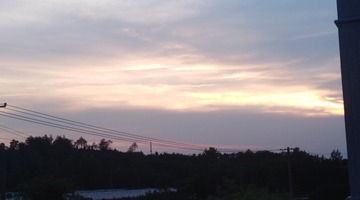 3154517