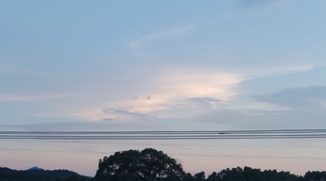 3154522