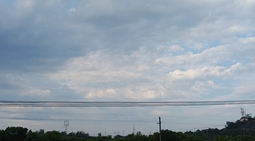 3154492