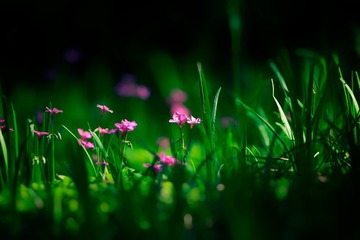 DSC_4023 拷贝