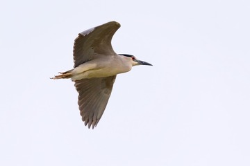 DSC_3261 拷贝