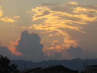 676583F9-ADB4-489D-B325-DEA8D1D0AB56/L0/001