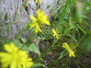 59F8F2E1-E7CD-4BAF-9FE9-A390043498FA/L0/001