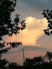 1279771
