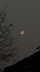 69034B38-A0F2-413C-9804-F9E23DEBEF59/L0/001