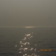 8A4419ED-27F6-44B8-B55D-AB8FCC7425DC/L0/001