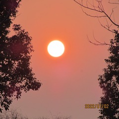 83F929ED-623E-431A-BBF4-326CA26F1913/L0/001