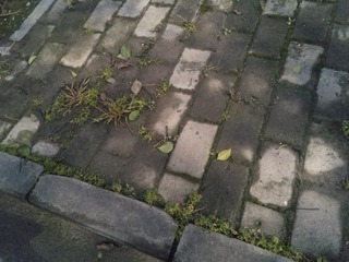 1384126