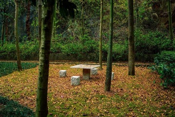AAA_0296.jpg