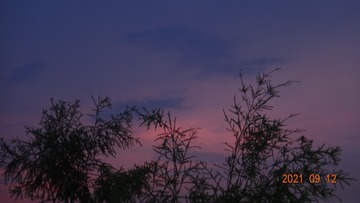 2781573D-0DF3-43DA-A71C-BD2AD0C632BB/L0/001