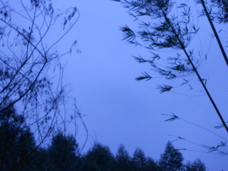 17BC0D49-9FC5-45AE-BD7F-D64745FD77E9/L0/001