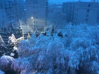 A2D5A8F7-19F7-4302-A3CC-CC5EE7469E35/L0/001