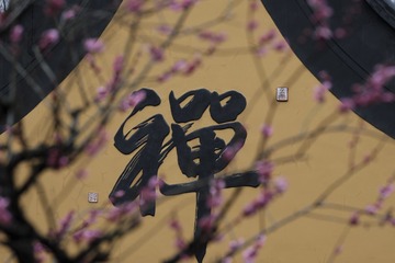 659C244D-609E-4CF2-A5F3-676FA50D671C/L0/001