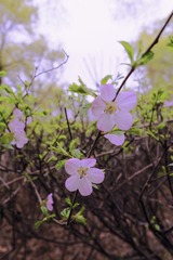 A47499F0-1C29-4659-859F-3C6000319BD0/L0/001