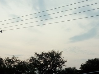996515